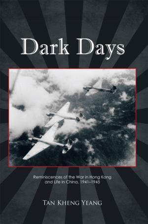Cover of the book Dark Days by DAVID C. LOVATO