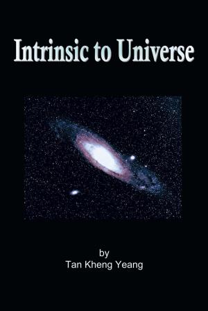 Book cover of Intrinsic to Universe
