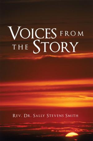 Cover of the book Voices from the Story by Colonel Donald A. Walbrecht Ph.D.