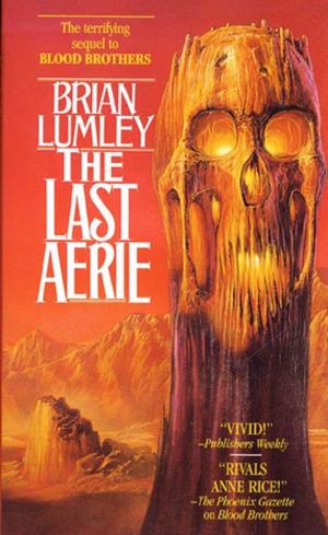 Cover of the book The Last Aerie by Brick ONeil