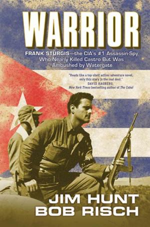 Cover of the book Warrior by Robert Holdstock