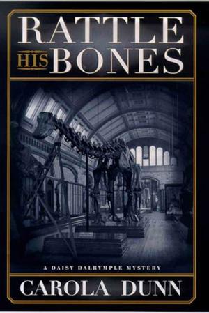 Cover of the book Rattle His Bones by Megan Crane