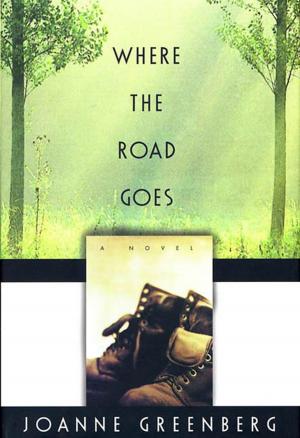 Book cover of Where the Road Goes