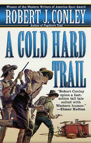 Book cover of A Cold Hard Trail