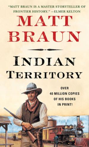 Cover of the book Indian Territory by Diane Chamberlain