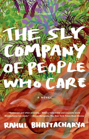 Cover of the book The Sly Company of People Who Care by George Packer