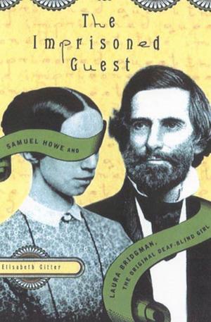 Cover of the book The Imprisoned Guest by Aleksandar Hemon