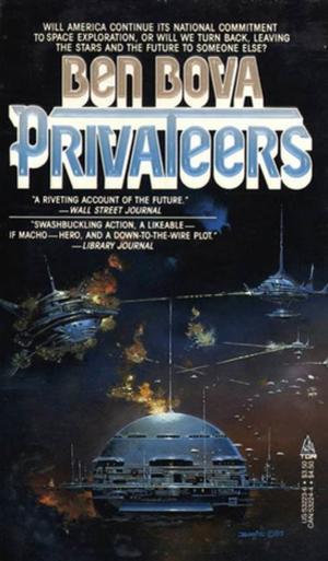 Cover of the book Privateers by Morgan Llywelyn