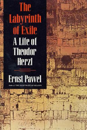 Cover of the book The Labyrinth of Exile by Abraham Joshua Heschel