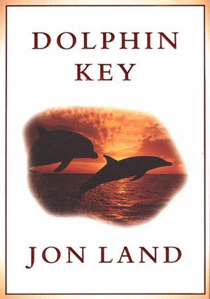 bigCover of the book Dolphin Key by 