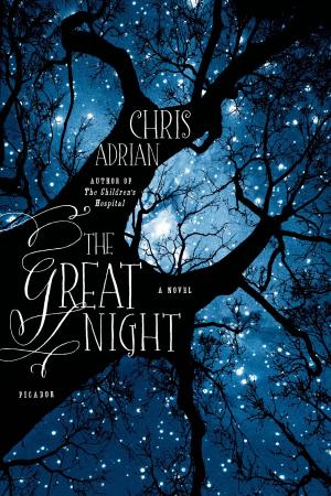 Cover of the book The Great Night by Ben Lerner
