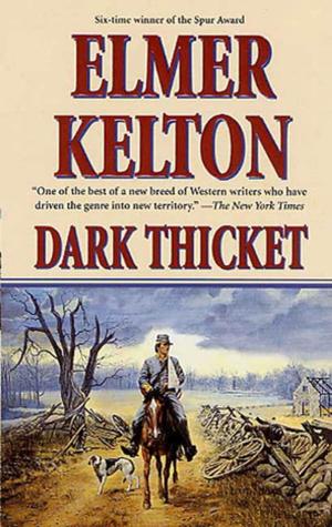 Cover of the book Dark Thicket by Gene Wolfe