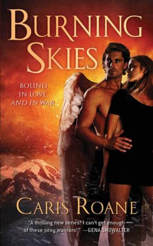 Cover of the book Burning Skies by Ralph Compton