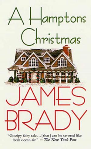 Cover of the book A Hamptons Christmas by Stephen Grey