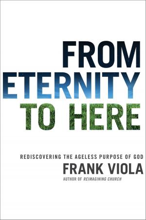 Cover of the book From Eternity to Here by Daniel Hochhalter
