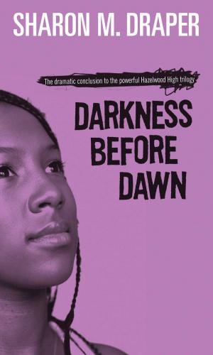 Cover of the book Darkness Before Dawn by Phyllis Reynolds Naylor