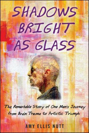 Cover of the book Shadows Bright as Glass by Conor Cruise O'brien
