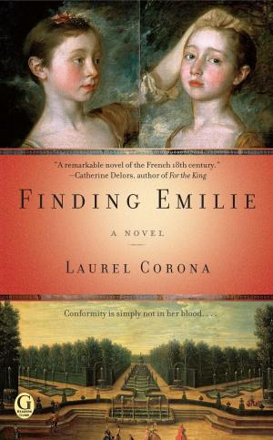 Cover of the book Finding Emilie by John Bernard Ruane
