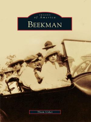 Cover of the book Beekman by Pam Thompson