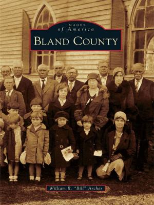 Cover of the book Bland County by Jack Authelet
