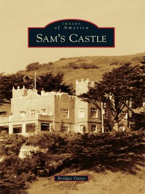 Cover of the book Sam's Castle by DuBois Area Historical Society