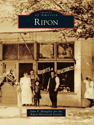 Cover of the book Ripon by Michael Morgan