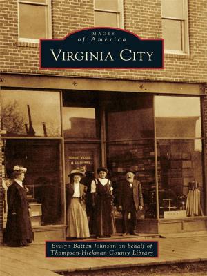 Cover of the book Virginia City by Andy Weeks