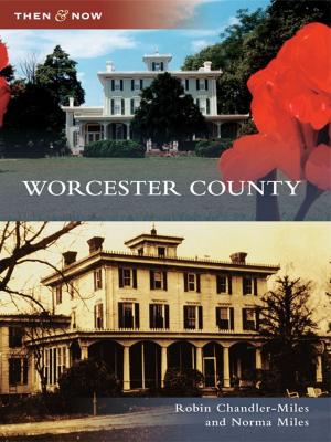 Cover of the book Worcester County by Belmont Historical Society
