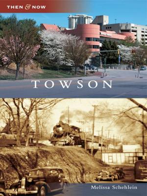 Cover of the book Towson by Barbara J. Pratt, Twenty Mule Team Museum