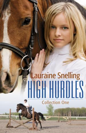 Cover of the book High Hurdles Collection One : 1-5 by Jud Wilhite