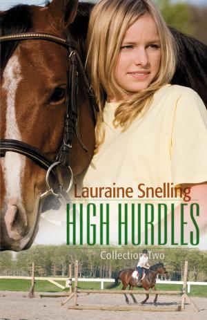 Cover of the book High Hurdles Collection Two : 6-10 by Michele Perry