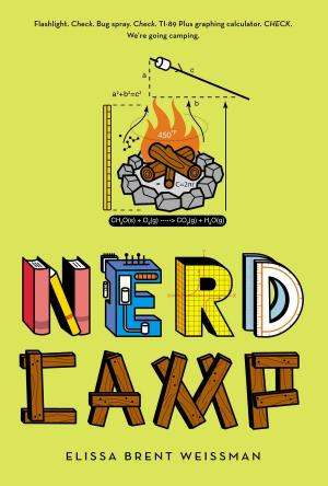 Cover of the book Nerd Camp by Phyllis Reynolds Naylor