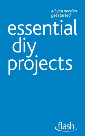 Cover of the book Essential DIY Projects: Flash by Paul Jenner
