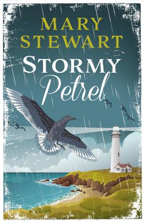 Book cover of Stormy Petrel
