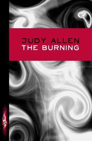 Cover of the book The Burning by Hilary McKay