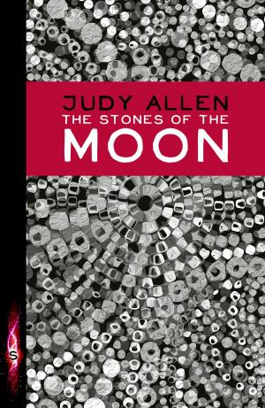 Cover of the book The Stones Of The Moon by Geoffrey Malone
