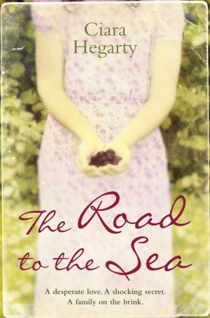 Cover of the book The Road to the Sea by Tom Hoyle