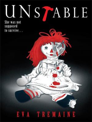 Cover of the book Unstable by Expedito A. Ibarbia