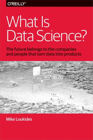 Cover of the book What Is Data Science? by Steven Roman, PhD