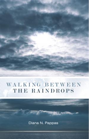 Cover of the book Walking Between the Raindrops by Rick H.