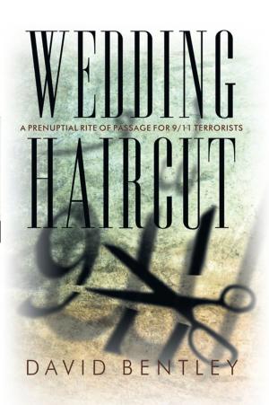 Cover of the book Wedding Haircut by Jo Johansen