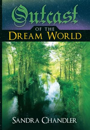 Cover of the book Outcast of the Dream World by Rita B. Hays