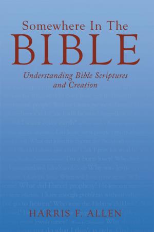 Cover of the book Somewhere in the Bible by John W. Williams