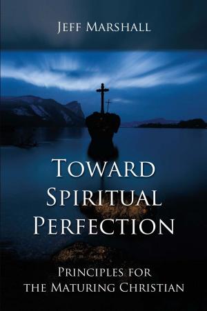Cover of the book Toward Spiritual Perfection by Matt W. Leach