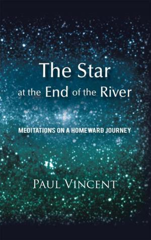 Cover of the book The Star at the End of the River by K.P. Kmitta