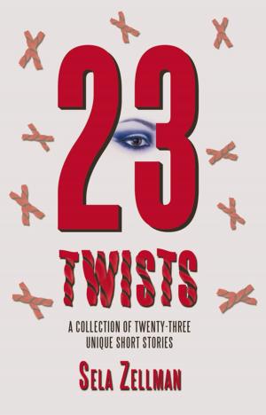 Cover of the book Twenty-Three Twists by Rochelle Lynn Holt
