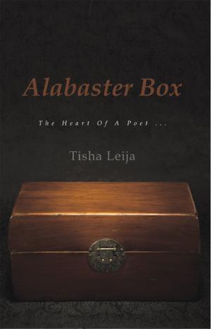 Cover of the book Alabaster Box by Julia SvadiHatra
