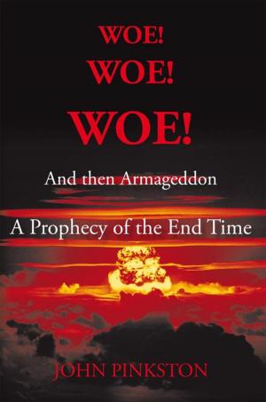 bigCover of the book Woe! Woe! Woe! and Then Armageddon by 
