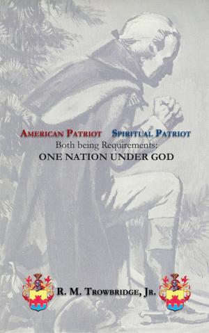 Cover of the book American Patriot / Spiritual Patriot by Manuel Viamonte Jr.