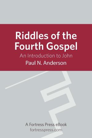 Cover of the book Riddles of the Fourth Gospel by D. Stephen Long